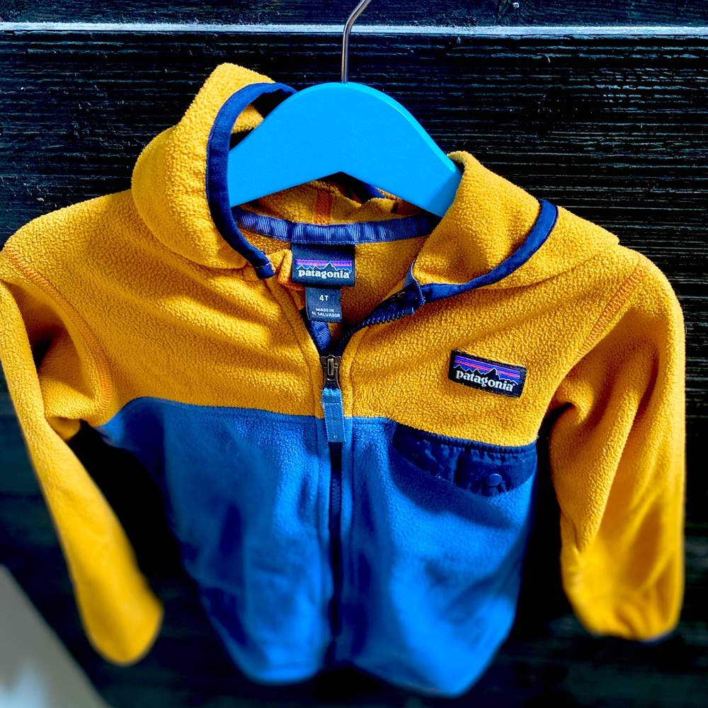 Patagonia 4T Micro D Snap-T up fleece jacket